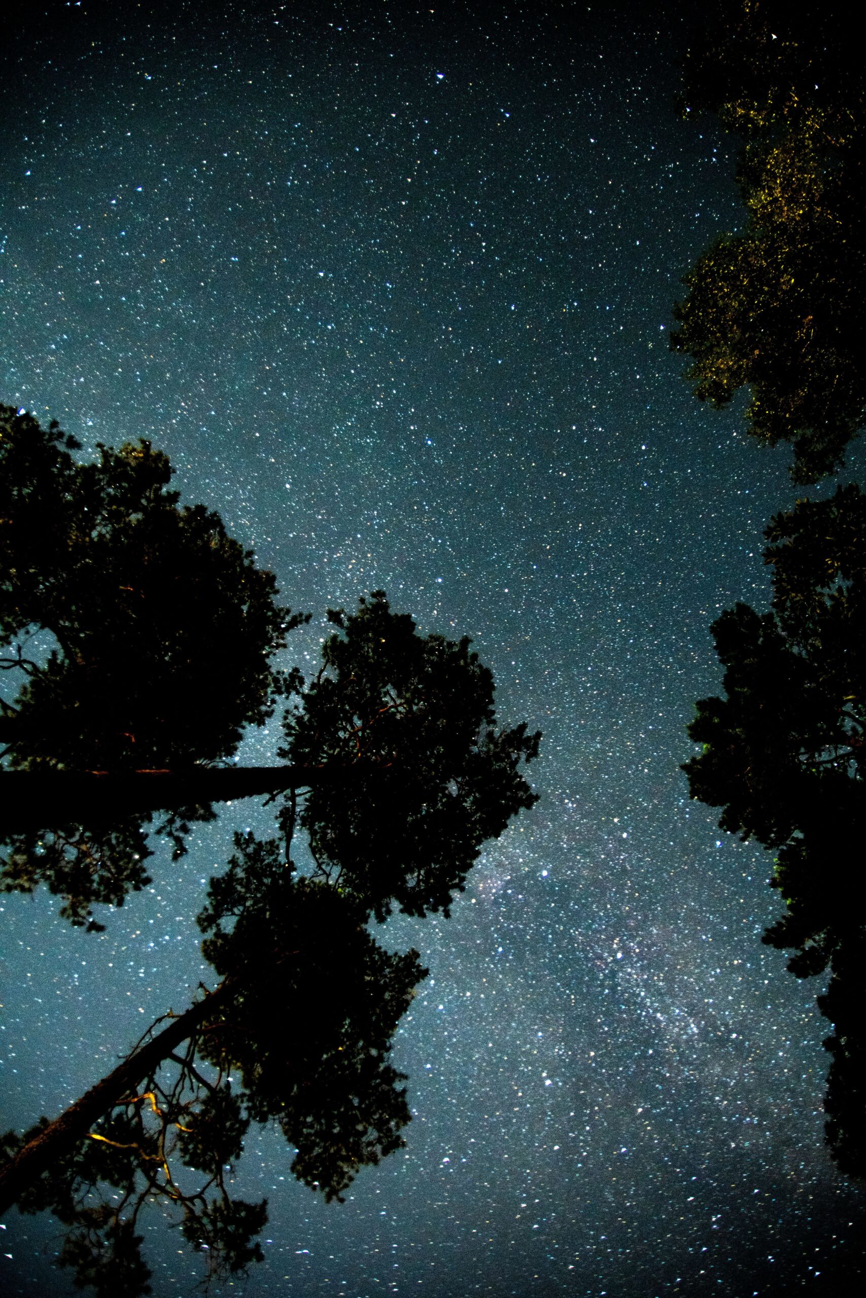 Natuur bij nacht